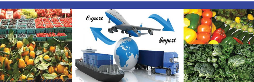 International Business